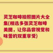 灵芝咖啡拍照图片大全集(精选多张灵芝咖啡美图，让你品尝视觉和味蕾的双重享受)