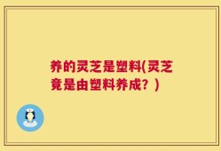 养的灵芝是塑料(灵芝竟是由塑料养成？)
