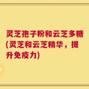 灵芝孢子粉和云芝多糖(灵芝和云芝精华，提升免疫力)