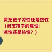 灵芝孢子凉性还是热性 (灵芝孢子的属性：凉性还是热性？)