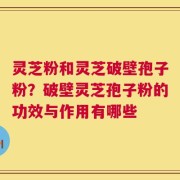 灵芝粉和灵芝破壁孢子粉？破壁灵芝孢子粉的功效与作用有哪些