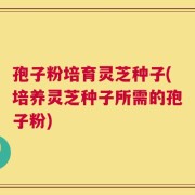 孢子粉培育灵芝种子(培养灵芝种子所需的孢子粉)