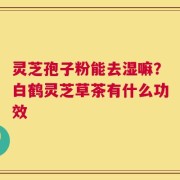 灵芝孢子粉能去湿嘛？白鹤灵芝草茶有什么功效