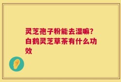 灵芝孢子粉能去湿嘛？白鹤灵芝草茶有什么功效