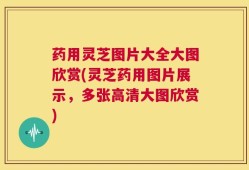药用灵芝图片大全大图欣赏(灵芝药用图片展示，多张高清大图欣赏)