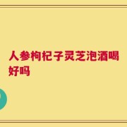 人参枸杞子灵芝泡酒喝好吗