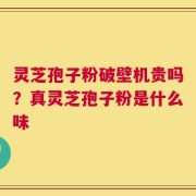 灵芝孢子粉破壁机贵吗？真灵芝孢子粉是什么味