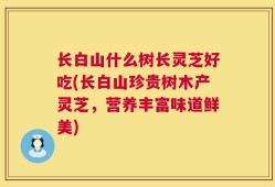 长白山什么树长灵芝好吃(长白山珍贵树木产灵芝，营养丰富味道鲜美)