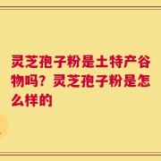 灵芝孢子粉是土特产谷物吗？灵芝孢子粉是怎么样的