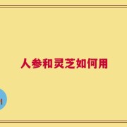 人参和灵芝如何用
