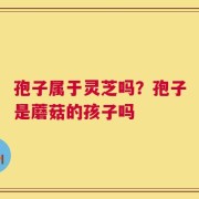 孢子属于灵芝吗？孢子是蘑菇的孩子吗