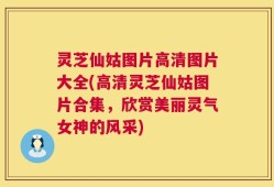 灵芝仙姑图片高清图片大全(高清灵芝仙姑图片合集，欣赏美丽灵气女神的风采)