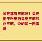 灵芝都有三萜吗？灵芝孢子粉里的灵芝三萜和总三萜，说的是一回事吗