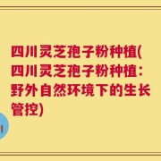 四川灵芝孢子粉种植(四川灵芝孢子粉种植：野外自然环境下的生长管控)