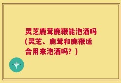 灵芝鹿茸鹿鞭能泡酒吗(灵芝、鹿茸和鹿鞭适合用来泡酒吗？)