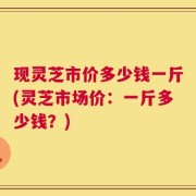 现灵芝市价多少钱一斤(灵芝市场价：一斤多少钱？)