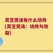 灵芝煲汤有什么功效 (灵芝煲汤：功效与效益)