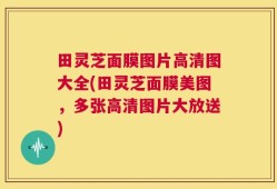 田灵芝面膜图片高清图大全(田灵芝面膜美图，多张高清图片大放送)