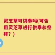 灵芝草可供奉吗(可否用灵芝草进行供奉和祭拜？)