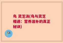 鸟 灵芝汤(鸟与灵芝相遇：营养滋补的真正秘诀)