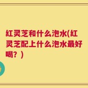 红灵芝和什么泡水(红灵芝配上什么泡水最好喝？)