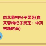 肉苁蓉枸杞子灵芝(肉苁蓉枸杞子灵芝：中药材新时尚)