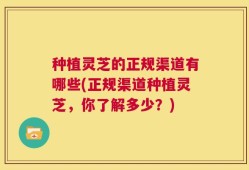 种植灵芝的正规渠道有哪些(正规渠道种植灵芝，你了解多少？)