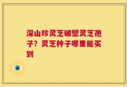 深山珍灵芝破壁灵芝孢子？灵芝种子哪里能买到