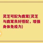 灵芝可配为鹿茸(灵芝与鹿茸良好搭配，增强身体免疫力)