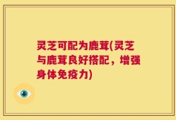 灵芝可配为鹿茸(灵芝与鹿茸良好搭配，增强身体免疫力)