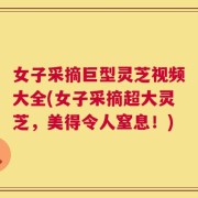 女子采摘巨型灵芝视频大全(女子采摘超大灵芝，美得令人窒息！)