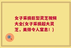 女子采摘巨型灵芝视频大全(女子采摘超大灵芝，美得令人窒息！)