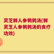 灵芝鲜人参鹌鹑汤(鲜灵芝人参鹌鹑汤的食疗功效)