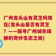 广州龙头山有灵芝吗现在(龙头山是否有灵芝？——探寻广州城市绿肺的奇妙生态之旅)