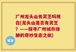 广州龙头山有灵芝吗现在(龙头山是否有灵芝？——探寻广州城市绿肺的奇妙生态之旅)