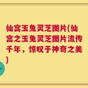 仙宫玉兔灵芝图片(仙宫之玉兔灵芝图片流传千年，惊叹于神奇之美)
