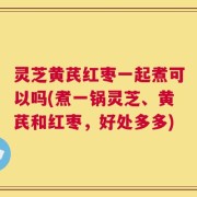 灵芝黄芪红枣一起煮可以吗(煮一锅灵芝、黄芪和红枣，好处多多)