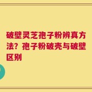 破壁灵芝孢子粉辨真方法？孢子粉破壳与破壁区别