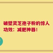 破壁灵芝孢子粉的惊人功效：减肥神器！