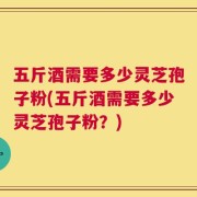五斤酒需要多少灵芝孢子粉(五斤酒需要多少灵芝孢子粉？)