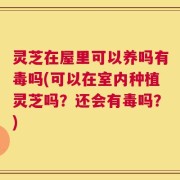 灵芝在屋里可以养吗有毒吗(可以在室内种植灵芝吗？还会有毒吗？)