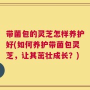 带菌包的灵芝怎样养护好(如何养护带菌包灵芝，让其茁壮成长？)