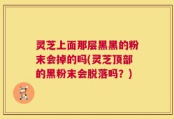 灵芝上面那层黑黑的粉末会掉的吗(灵芝顶部的黑粉末会脱落吗？)