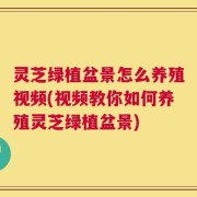 灵芝绿植盆景怎么养殖视频(视频教你如何养殖灵芝绿植盆景)