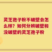 灵芝孢子粉不破壁会怎么样？如何分辨破壁和没破壁的灵芝孢子粉
