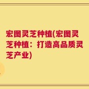 宏图灵芝种植(宏图灵芝种植：打造高品质灵芝产业)