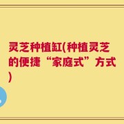 灵芝种植缸(种植灵芝的便捷“家庭式”方式)
