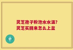 灵芝孢子粉泡水水温？灵芝买回来怎么上盆
