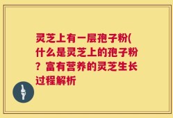 灵芝上有一层孢子粉(什么是灵芝上的孢子粉？富有营养的灵芝生长过程解析