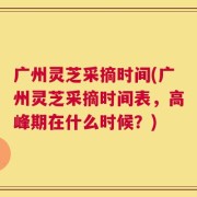 广州灵芝采摘时间(广州灵芝采摘时间表，高峰期在什么时候？)
